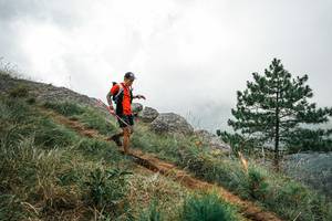 BIB: 
                            <button type="button" onclick="openModal(26020054)" class="btn btn-primary btn-sm float-right btn-popup" data-toggle="modal" data-target=".modal-high-quality">
                        <i class="fas fa-shopping-cart"></i> Add to Cart
                    </button>
                                            <button type="button" onclick="isThisMe(26020054, true)" class="btn btn-success btn-sm float-right btn-popup btn-isme hidden" data-toggle="tooltip" data-placement="bottom" title="นี่คือรูปของคุณใช่ไหม คลิกที่นี่เพื่อเอาเข้าอัลบั้ม">
                        <i class="fas fa-plus"></i> Add to album
                    </button>
                    <button type="button" onclick="isThisMe(26020054, false)" class="btn btn-warning btn-sm float-right btn-popup btn-isnotme hidden">
                        <i class="fas fa-ban"></i> Remove from album
                    </button>